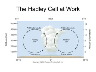The Hadley Cell at Work
 