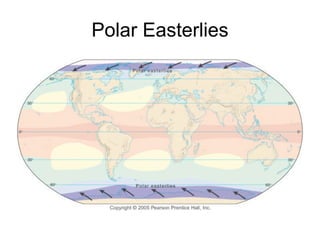 Polar Easterlies
 