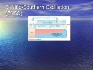 El Niño/Southern Oscillation
(ENSO)
 