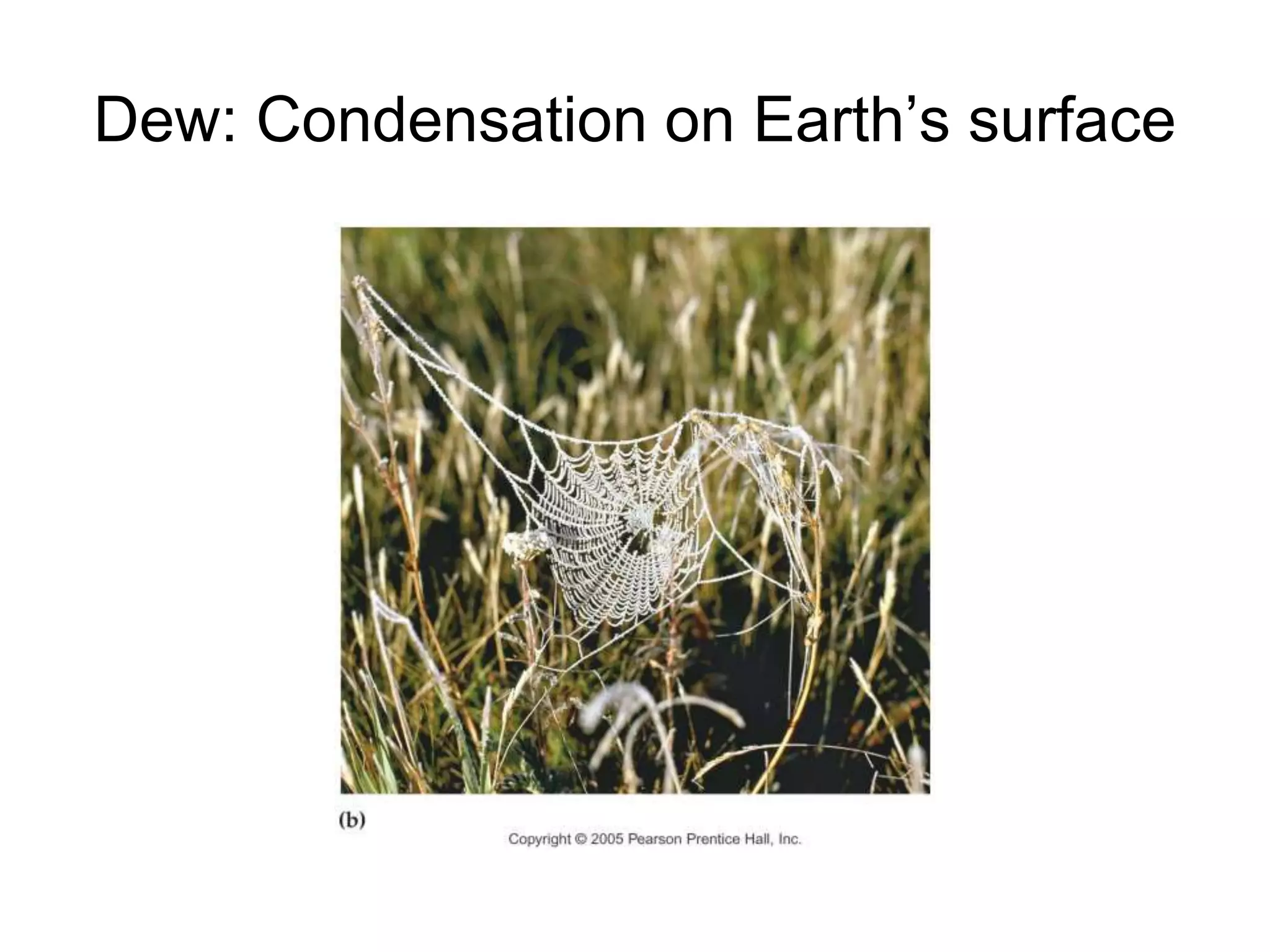 Dew: Condensation on Earth’s surface
 