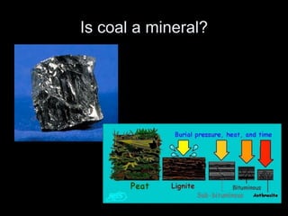 Is coal a mineral?
 