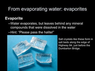 From evaporating water: evaporites
Evaporite
–Water evaporates, but leaves behind any mineral
compounds that were dissolved in the water
–Hint: “Please pass the halite!”
Salt crystals like these form in
salt beds along the edge of
Highway 84, just before the
Dumbarton Bridge.
 
