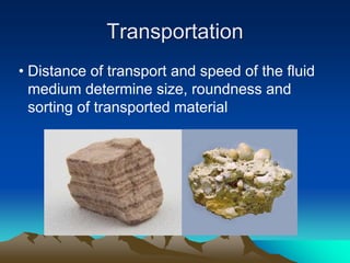 Transportation
• Distance of transport and speed of the fluid
medium determine size, roundness and
sorting of transported material
 