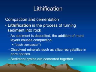 Lithification
Compaction and cementation
• Lithification is the process of turning
sediment into rock
–As sediment is deposited, the addition of more
layers causes compaction
• (“trash compactor”)
–Dissolved minerals such as silica recrystallize in
pore spaces
–Sediment grains are cemented together
 