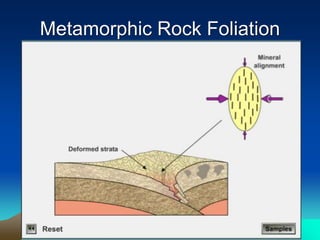 Metamorphic Rock Foliation
 