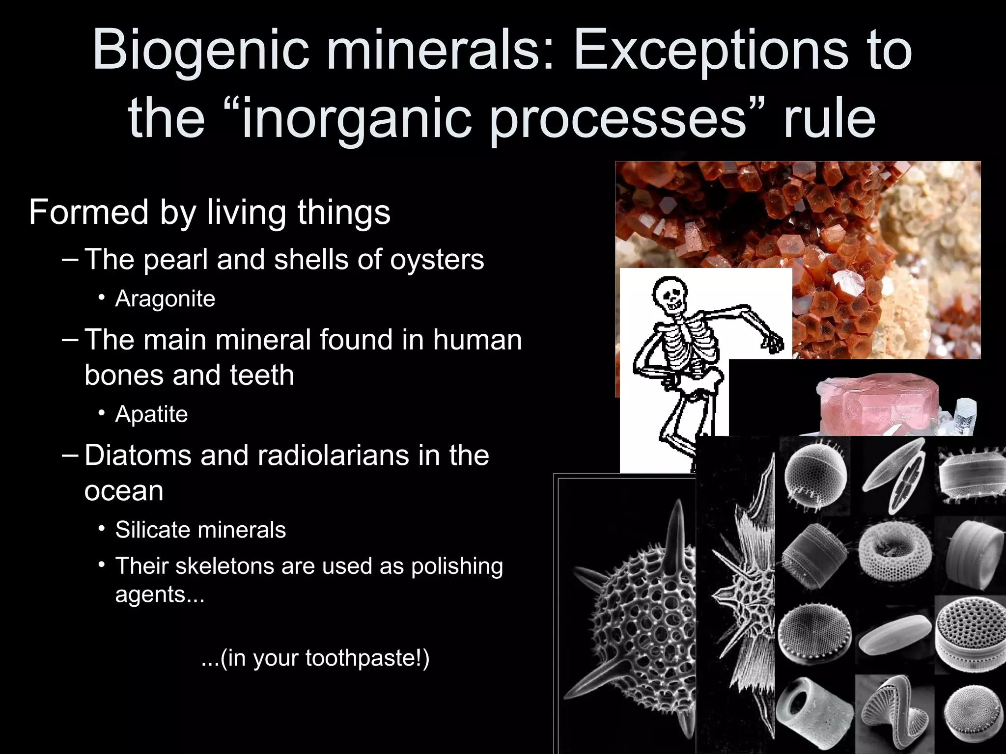 Biogenic minerals: Exceptions to
the “inorganic processes” rule
Formed by living things
– The pearl and shells of oysters
• Aragonite
– The main mineral found in human
bones and teeth
• Apatite
– Diatoms and radiolarians in the
ocean
• Silicate minerals
• Their skeletons are used as polishing
agents...
...(in your toothpaste!)
 