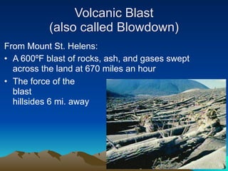 Volcanic Blast
           (also called Blowdown)
From Mount St. Helens:
• A 600ºF blast of rocks, ash, and gases swept
  across the land at 670 miles an hour
• The force of the
  blast                       stripped trees from
  hillsides 6 mi. away
 