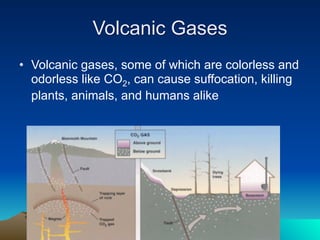 Volcanic Gases
• Volcanic gases, some of which are colorless and
  odorless like CO2, can cause suffocation, killing
  plants, animals, and humans alike
 