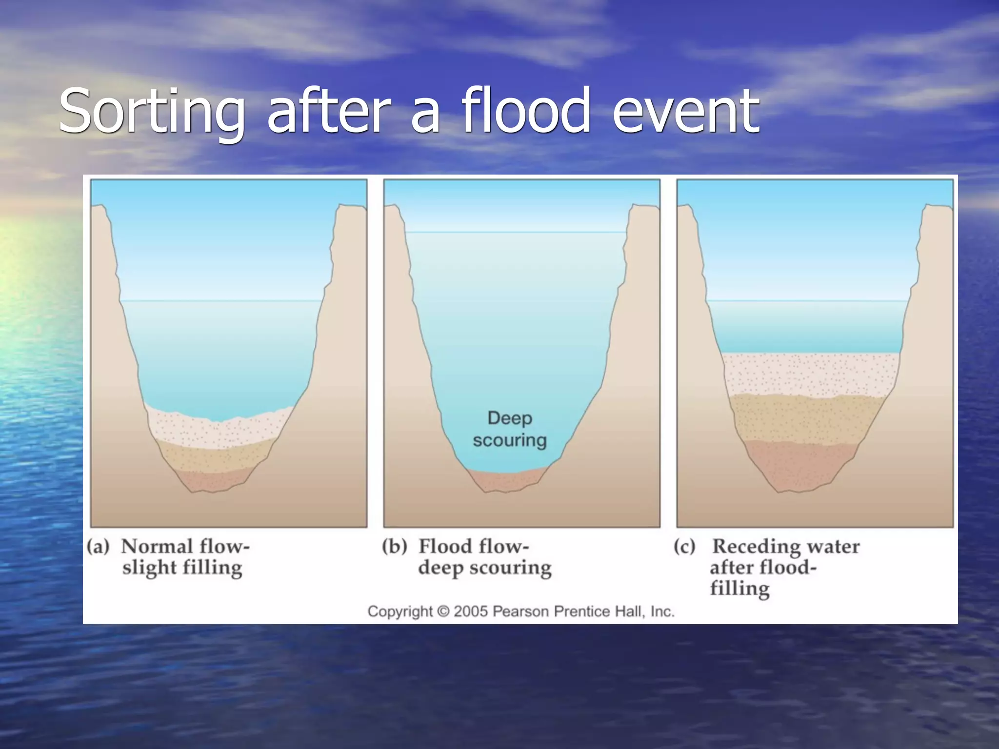Sorting after a flood event
 