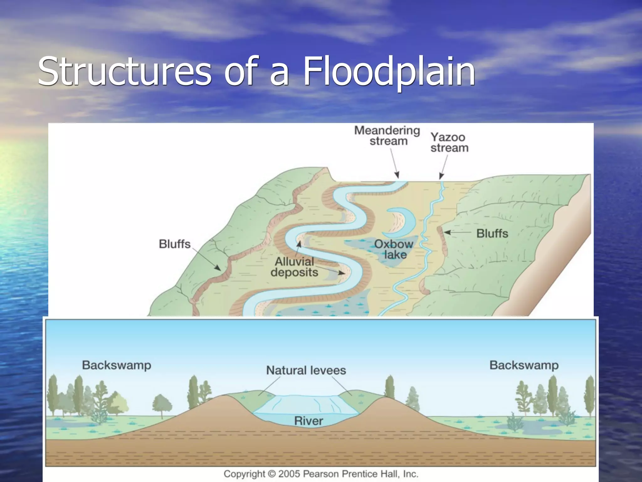 Structures of a Floodplain
 