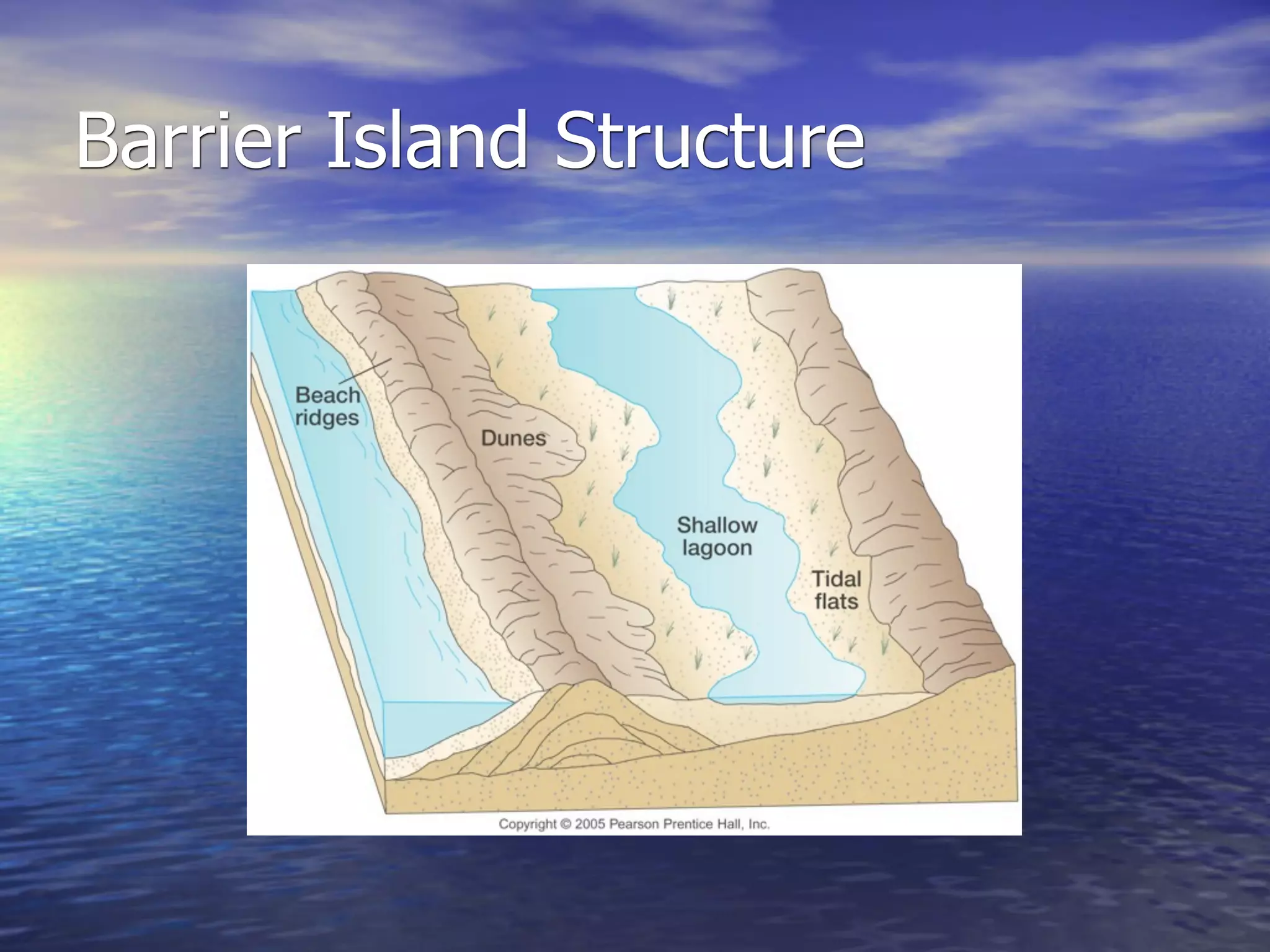 Barrier Island Structure
 