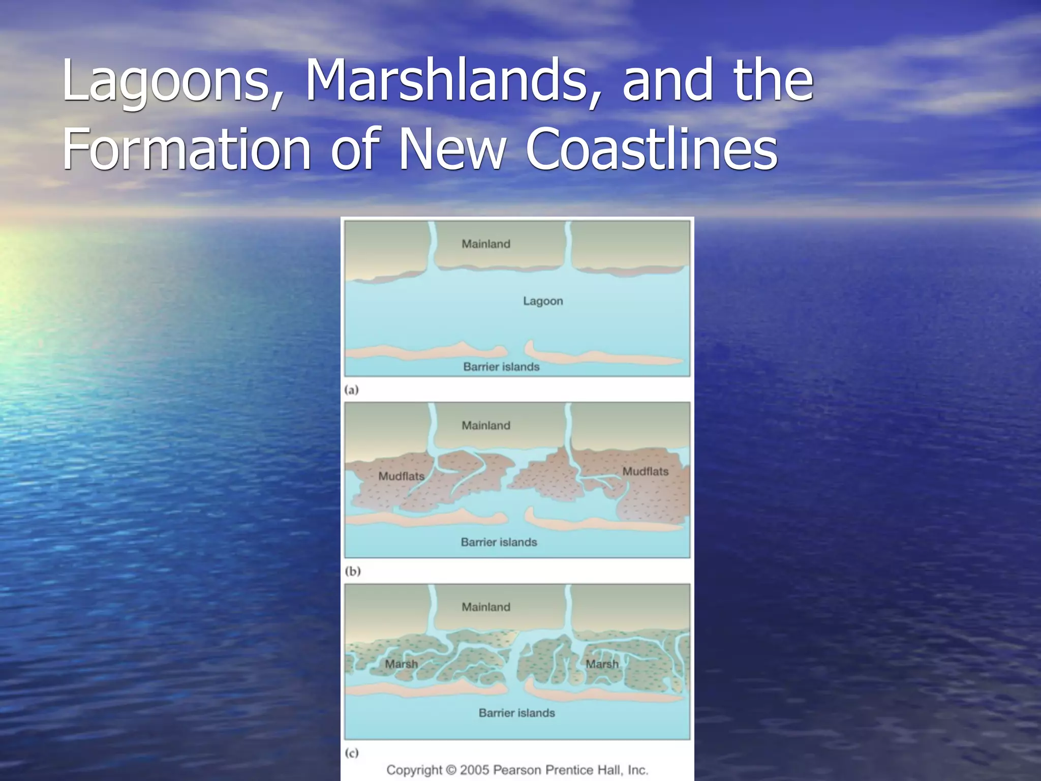 Lagoons, Marshlands, and the
Formation of New Coastlines
 