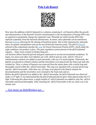 Pglo Lab Report | PDF