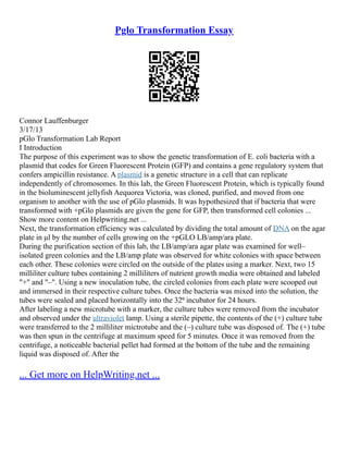 Pglo Lab Report | PDF