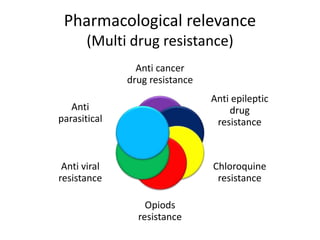 Pharmacological relevance
(Multi drug resistance)
Anti cancer
drug resistance
Anti epileptic
drug
resistance
Chloroquine
resistance
Opiods
resistance
Anti viral
resistance
Anti
parasitical
 
