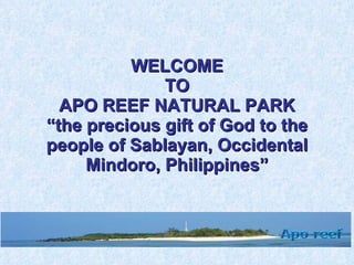 WELCOME TO APO REEF NATURAL PARK “the precious gift of God to the people of Sablayan, Occidental Mindoro, Philippines” 