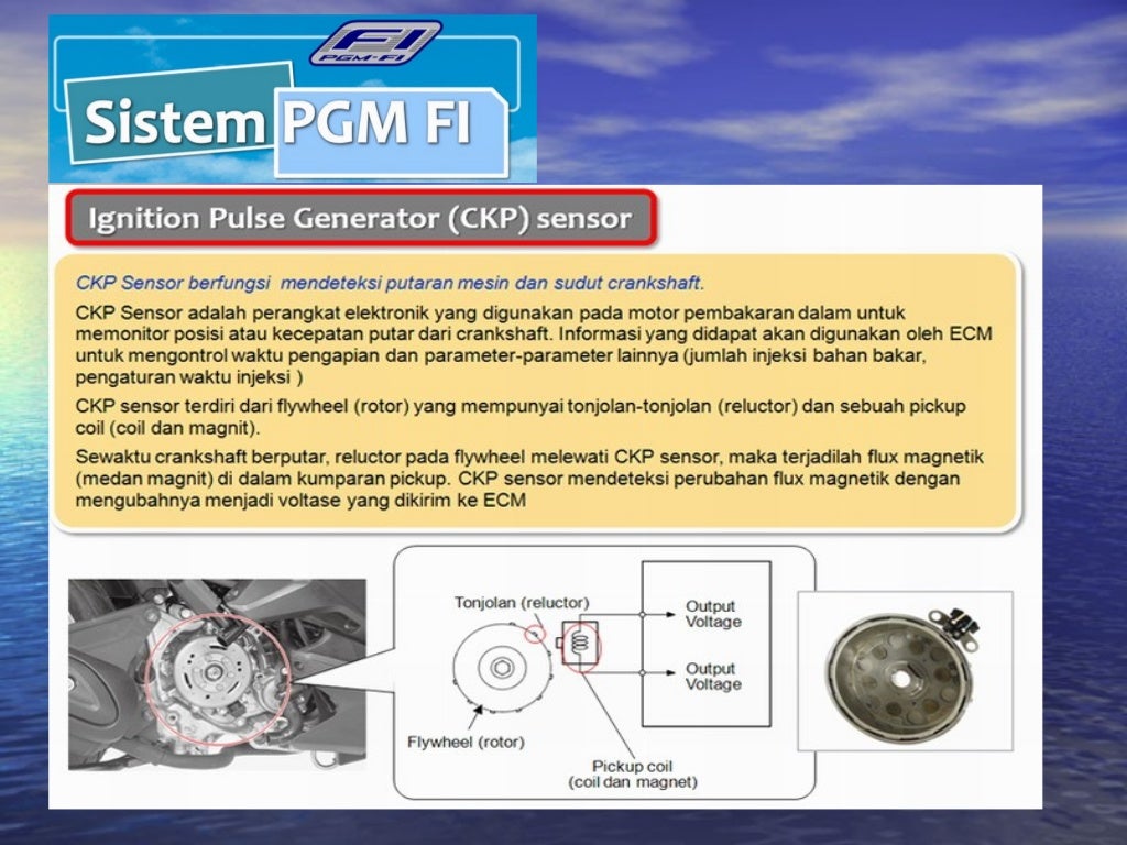 PGM FI (Programmed Fuel Injection)