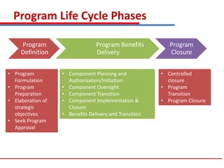 PgMP 02 - Program Performance Domainv1 | PDF