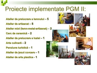 Proiecte implementate PGM II:
Atelier de prelucrare a lemnuluiAtelier de prelucrare a lemnului –– 55
Atelier de artizanatAtelier de artizanat –– 88
Atelier mixt (lemn-metal-artizanat)Atelier mixt (lemn-metal-artizanat) –– 22
Cerc de ceramicăCerc de ceramică –– 22
Atelier de prelucrare a lozieiAtelier de prelucrare a loziei –– 11
Arta culinarăArta culinară –– 22
Pensiune turisticăPensiune turistică –– 11
Atelier de ţesut covoareAtelier de ţesut covoare –– 11
Atelier de arte plasticeAtelier de arte plastice -- 11
 