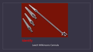 Identify
Leech Wilkinsons Cannula
 