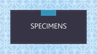 C
SPECIMENS
 