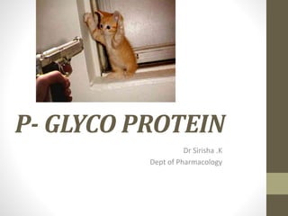 P- GLYCO PROTEIN
Dr Sirisha .K
Dept of Pharmacology
 