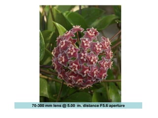 Digital photos are too dangerous.  You can lose your photos forever and your memories are gone.TRUTH  or  MYTHMYTHNowadays most photos are stored using Flash Cards as the most reliable form of digital storage.  After the photos are downloaded to the computer and additional backups are created on CD or DVD allowing several copies of the same event to reside on different locations.