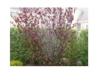 I got a digital camera that takes great photos, now I can start a career as a wedding photographer.TRUTH  or  MYTHMYTHWedding photography requires that you have artistic talent and that you learn photography including composition, lighting, etc. A wedding is an uncontrolled event that requires technical and artistic skill. It is not the place to learn photography.