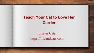 Teach Your Cat to Love Her
Carrier
Life & Cats
https://lifeandcats.com
 