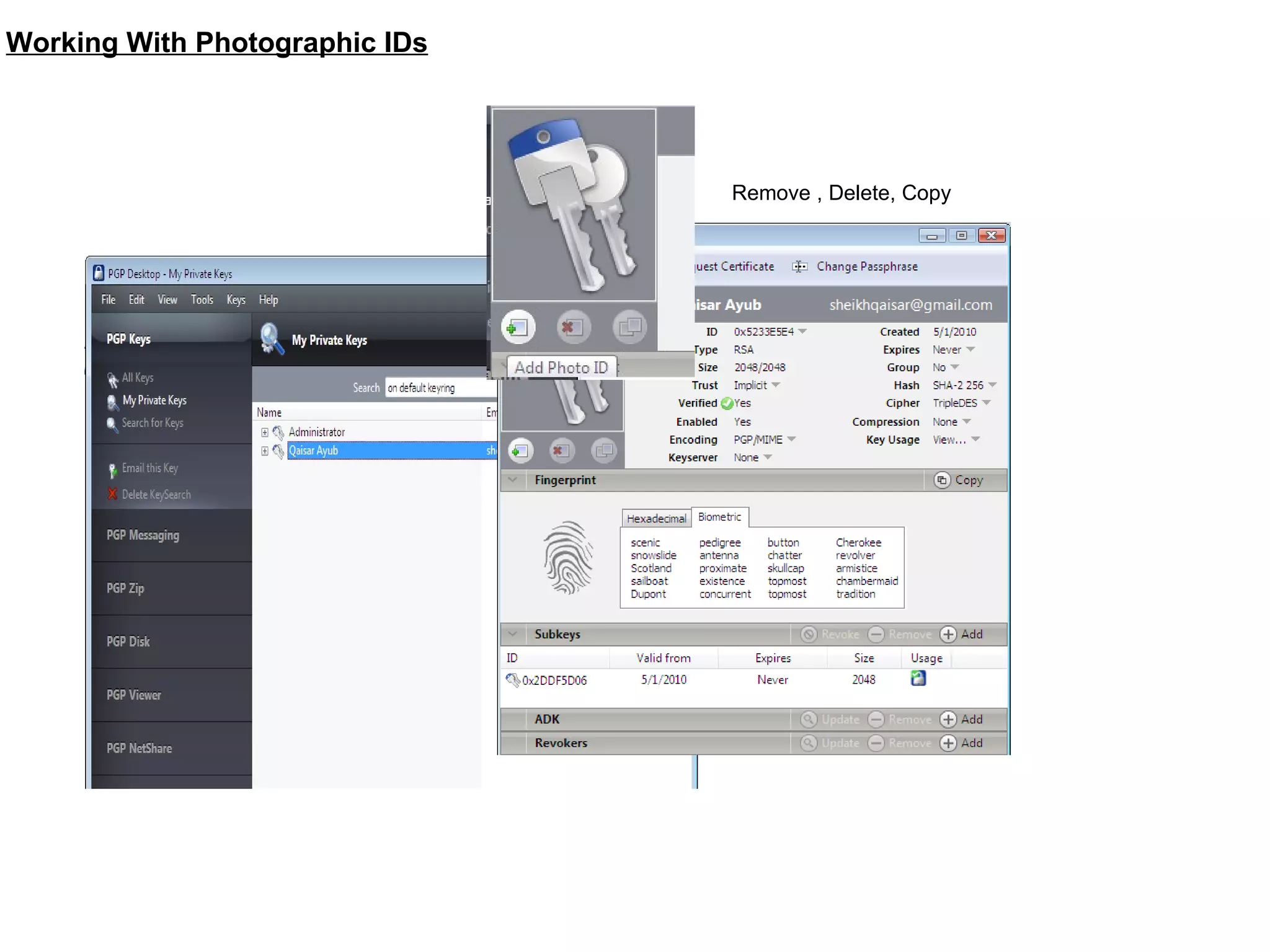 Working With Photographic IDs Remove , Delete, Copy 