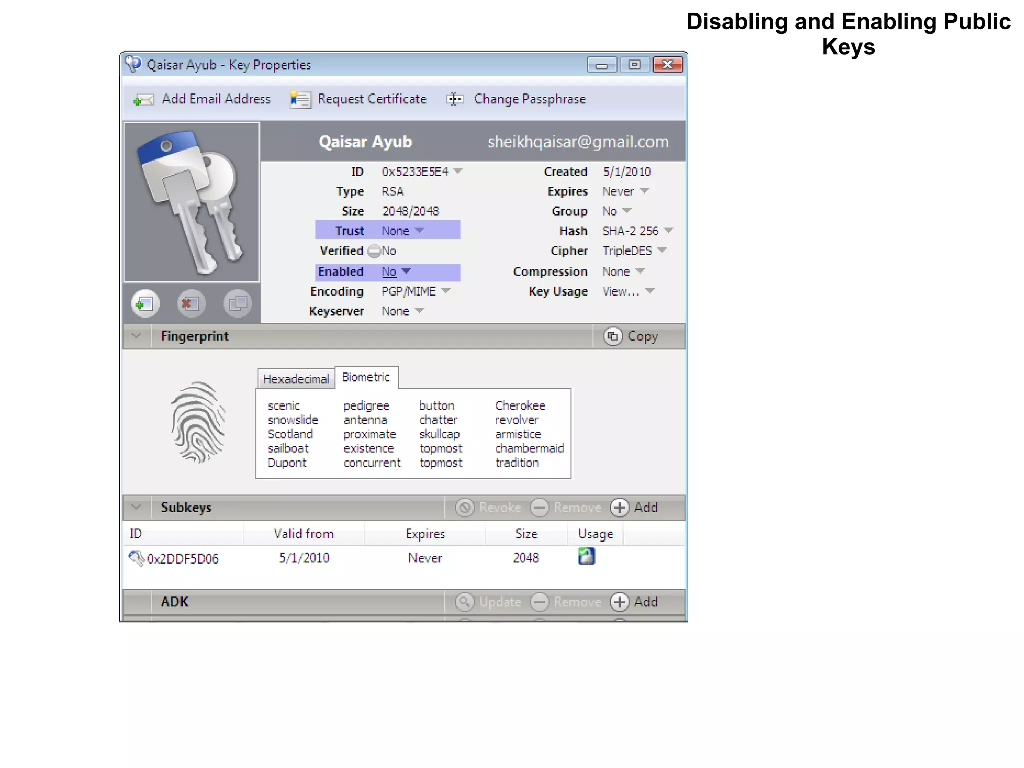 Disabling and Enabling Public Keys 