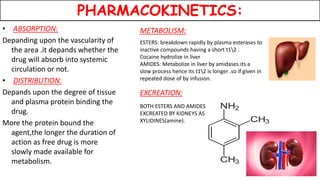 PHARMACOKINETICS:
• ABSORPTION:
Depanding upon the vascularity of
the area .it depands whether the
drug will absorb into systemic
circulation or not.
• DISTRIBUTION:
Depands upon the degree of tissue
and plasma protein binding the
drug.
More the protein bound the
agent,the longer the duration of
action as free drug is more
slowly made available for
metabolism.
METABOLISM:
ESTERS: breakdown rapidly by plasma esterases to
inactive compounds having a short t12 .
Cocaine hydrolize in liver
AMIDES: Metabolize in liver by amidases.its a
slow process hence its t12 is longer .so if given in
repeated dose of by infusion.
EXCREATION:
BOTH ESTERS AND AMIDES ARE
EXCREATED BY KIDNEYS AS
XYLIDINES(amine).
 