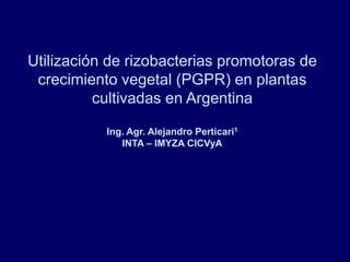Utilización de rizobacterias promotoras de
crecimiento vegetal (PGPR) en plantas
cultivadas en Argentina
Ing. Agr. Alejandro Perticari1
INTA – IMYZA CICVyA
 