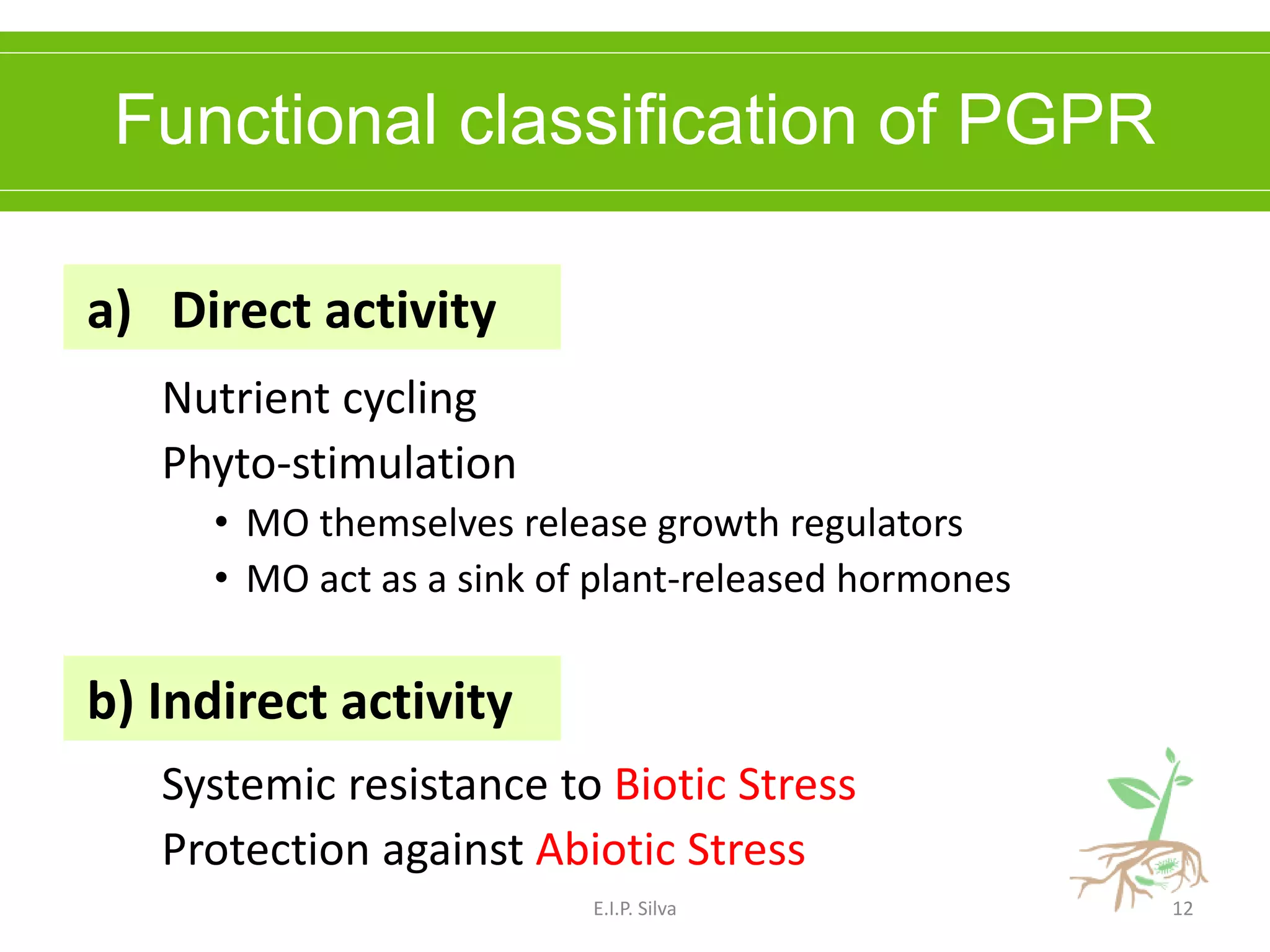 PGPR - Plant Growth Promoting Rhizobacteria | PDF