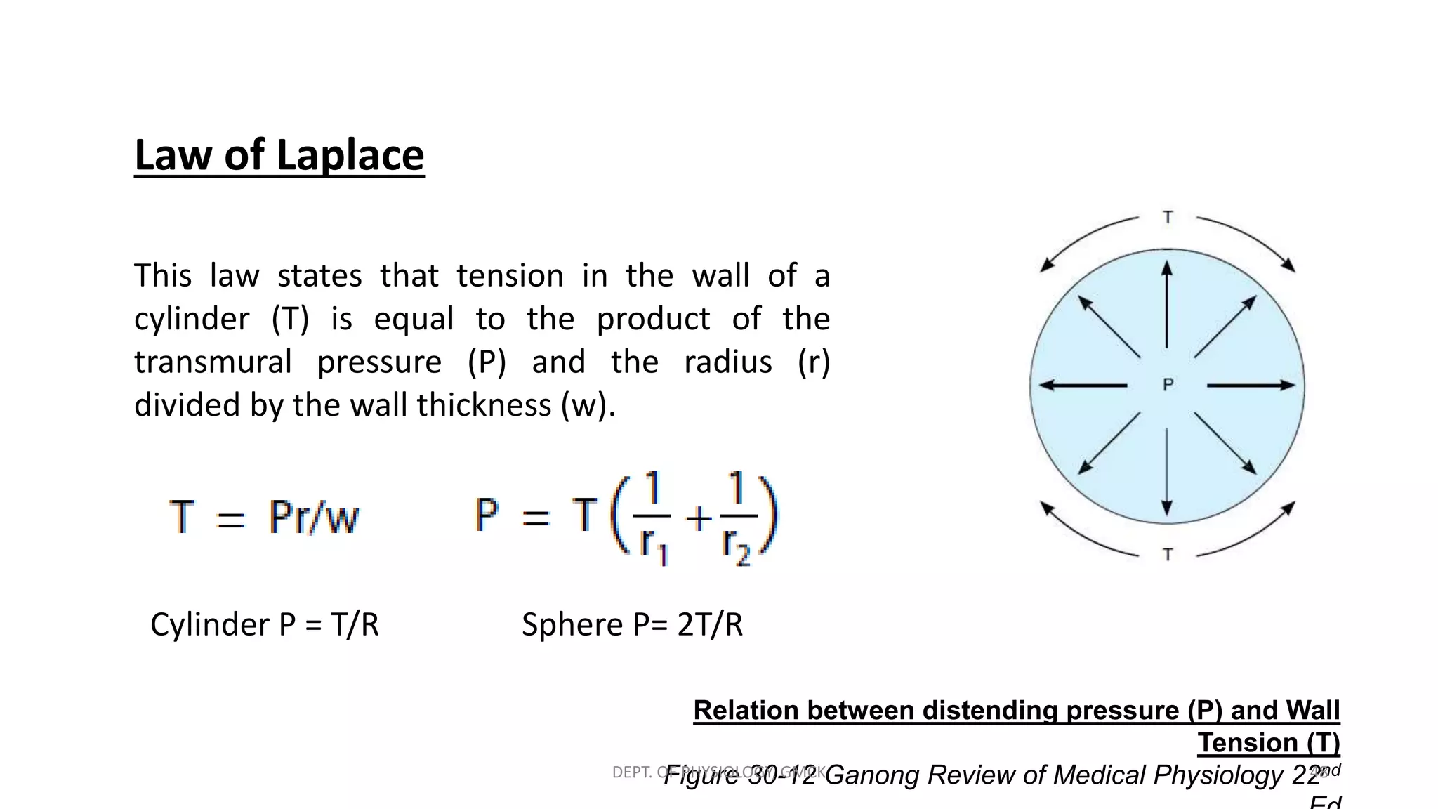 Physical Properties of Blood Flow | PPTX