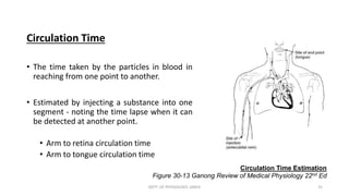 Physical Properties of Blood Flow | PPTX