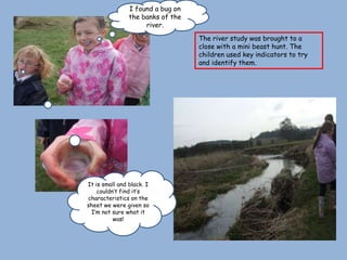 I found a bug on
                the banks of the
                     river.
                                   The river study was brought to a
                                   close with a mini beast hunt. The
                                   children used key indicators to try
                                   and identify them.




It is small and black. I
    couldn’t find it’s
characteristics on the
sheet we were given so
 I’m not sure what it
          was!
 