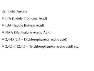 Synthetic Auxins
 IPA (Indole Propionic Acid)
 IBA (Indole Butyric Acid)
 NAA (Napthalene Acetic Acid)
 2,4-D (2,4 – Dichlorophenoxy acetic acid)
 2,4,5-T (2,4,5 – Trichlorophenoxy acetic acid) etc.
 