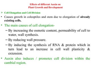 Effects of different Auxin on
Plant Growth and Development
 Cell Elongation and Cell Division
• Causes growth in coleoptiles and stem due to elongation of already
existing cells.
• The main causes of cell elongation-
– By increasing the osmotic content, permeability of cell to
water, wall synthesis.
– By reducing wall pressure.
– By inducing the synthesis of RNA & protein which in
turn lead to an increase in cell wall plasticity &
extension.
• Auxin also induces / promotes cell division within the
cambial region.
 