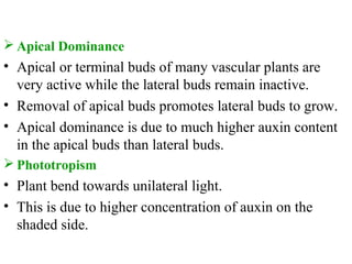  Apical Dominance
• Apical or terminal buds of many vascular plants are
very active while the lateral buds remain inactive.
• Removal of apical buds promotes lateral buds to grow.
• Apical dominance is due to much higher auxin content
in the apical buds than lateral buds.
 Phototropism
• Plant bend towards unilateral light.
• This is due to higher concentration of auxin on the
shaded side.
 