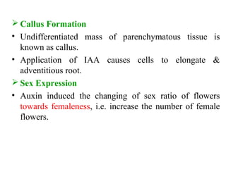  Callus Formation
• Undifferentiated mass of parenchymatous tissue is
known as callus.
• Application of IAA causes cells to elongate &
adventitious root.
 Sex Expression
• Auxin induced the changing of sex ratio of flowers
towards femaleness, i.e. increase the number of female
flowers.
 