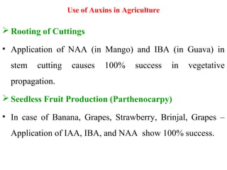 Use of Auxins in Agriculture
 Rooting of Cuttings
• Application of NAA (in Mango) and IBA (in Guava) in
stem cutting causes 100% success in vegetative
propagation.
 Seedless Fruit Production (Parthenocarpy)
• In case of Banana, Grapes, Strawberry, Brinjal, Grapes –
Application of IAA, IBA, and NAA show 100% success.
 