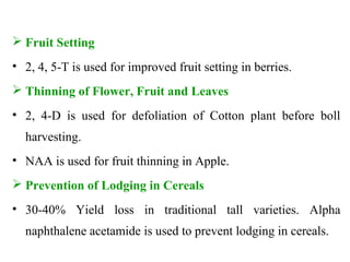  Fruit Setting
• 2, 4, 5-T is used for improved fruit setting in berries.
 Thinning of Flower, Fruit and Leaves
• 2, 4-D is used for defoliation of Cotton plant before boll
harvesting.
• NAA is used for fruit thinning in Apple.
 Prevention of Lodging in Cereals
• 30-40% Yield loss in traditional tall varieties. Alpha
naphthalene acetamide is used to prevent lodging in cereals.
 