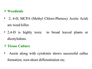  Weedicide
• 2, 4-D, MCPA (Methyl Chloro-Phenoxy Acetic Acid)
are weed killer.
• 2,4-D is highly toxic to broad leaved plants or
dicotyledons.
 Tissue Culture
• Auxin along with cytokinin shows successful callus
formation, root-shoot differentiation etc.
 
