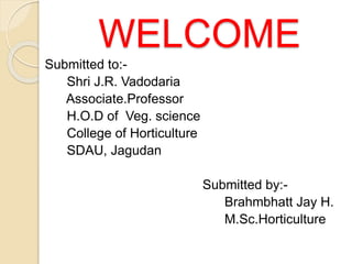 WELCOME
Submitted to:-
Shri J.R. Vadodaria
Associate.Professor
H.O.D of Veg. science
College of Horticulture
SDAU, Jagudan
Submitted by:-
Brahmbhatt Jay H.
M.Sc.Horticulture
 