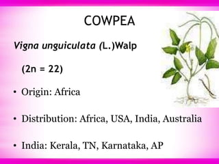 COWPEA,LENTIL,HORSE GRAM,LABLAB, RICE BEAN,WINGED BEAN | PPT