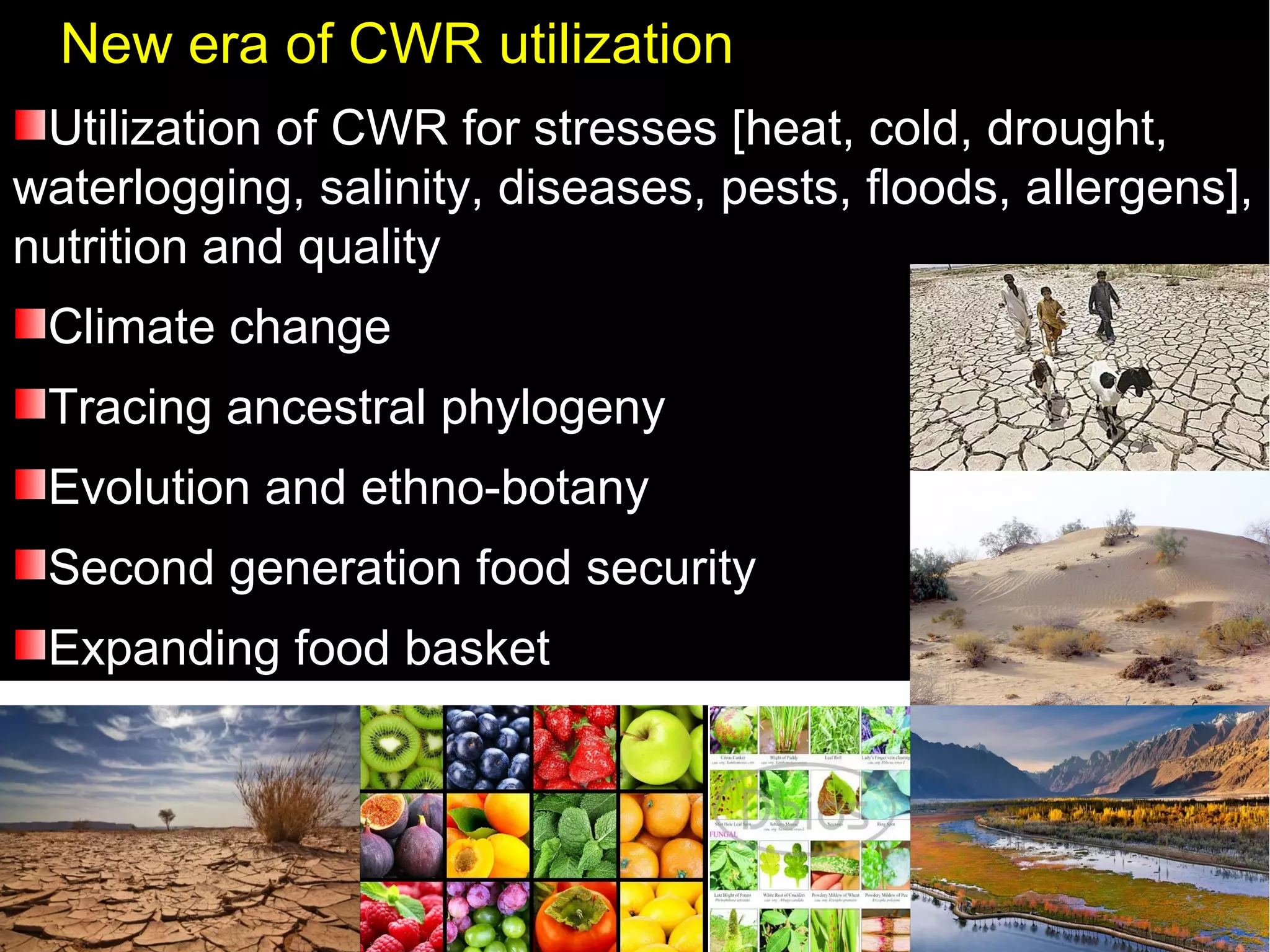New era of CWR utilization
Utilization of CWR for stresses [heat, cold, drought,
waterlogging, salinity, diseases, pests, floods, allergens],
nutrition and quality
Climate change
Tracing ancestral phylogeny
Evolution and ethno-botany
Second generation food security
Expanding food basket
 