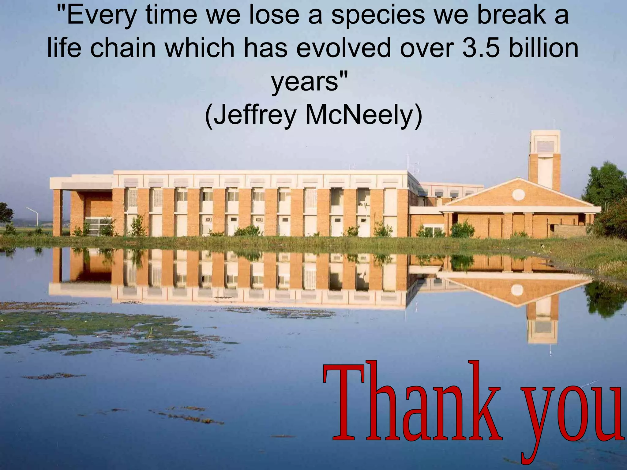 "Every time we lose a species we break a
life chain which has evolved over 3.5 billion
years"
(Jeffrey McNeely)
 