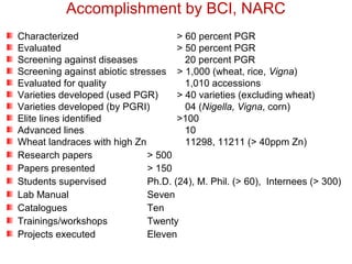 Accomplishment by BCI, NARC
Characterized > 60 percent PGR
Evaluated > 50 percent PGR
Screening against diseases 20 percent PGR
Screening against abiotic stresses > 1,000 (wheat, rice, Vigna)
Evaluated for quality 1,010 accessions
Varieties developed (used PGR) > 40 varieties (excluding wheat)
Varieties developed (by PGRI) 04 (Nigella, Vigna, corn)
Elite lines identified >100
Advanced lines 10
Wheat landraces with high Zn 11298, 11211 (> 40ppm Zn)
Research papers > 500
Papers presented > 150
Students supervised Ph.D. (24), M. Phil. (> 60), Internees (> 300)
Lab Manual Seven
Catalogues Ten
Trainings/workshops Twenty
Projects executed Eleven
 