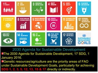 2030 Agenda for Sustainable Development
The 2030 Agenda for Sustainable Development, 17 SDG, 1
January 2016.
Genetic resources/agriculture are the priority areas of FAO
under Sustainable Development Goals, particularly for achieving
SDG 1, 2, 3, 5, 12, 13, 15 & 17 directly or indirectly.
 